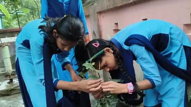 #Navachar M.S.katarmala.,goraul,vaishali
प्रस्तुति जिला शिक्षा पुरस्कार प्राप्त कार्तिक कुमार