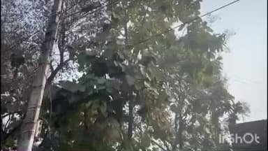 गुरारू: डबुर गांव में बकाया बिल के कारण काटे गए स्मार्ट मीटर से अवैध बिजली उपयोग, मामला दर्ज