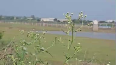 कालापीपल: कालापीपल में बदला मौसम, ठंड से मिली राहत