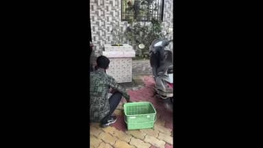 પારડી: શહેરમાં જીવ સેવા આશ્રય દ્વારા અત્યાર સુધીમાં 12 જેટલા પક્ષીઓનો રેસ્ક્યુ કરાયું