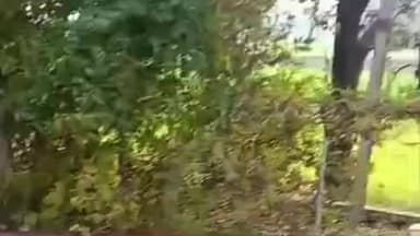 रायसेन: काछी कान्हा खेड़ा में ट्रांसफार्मर से तेल चोरी, किसानों की सिंचाई ठप