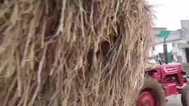 నర్సీపట్నంలో గడ్డి ట్రాక్టర్లతో ప్రయాణికులు ఇబ్బందులు