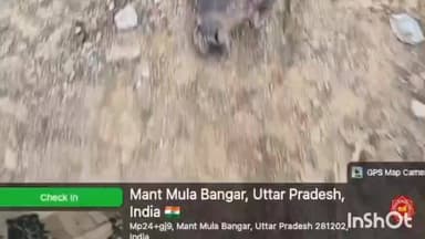 मांट: बीमार गायों का वायरल वीडियो मांट मूला की गौशाला का था, जीपीएस वीडियो से हुई पुष्टि