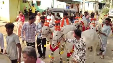 ಕೊರಟಗೆರೆ: ಇತಿಹಾಸಕ್ಕೆ ಸಾಕ್ಷಿಯಾದ ಕ್ಯಾಮೇನಹಳ್ಳಿ ರಾಸುಗಳ ಜಾತ್ರೆ: ಕಮನೀಯ ಕ್ಷೇತ್ರದಲ್ಲಿ ಕಾಮಧೇನುಗಳ ಸಡಗರ