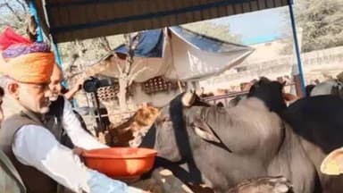 लोहारू: लोहारू विधायक राजवीर फरटिया ने अपनी पूरी सैलरी गौशाला को समर्पित की