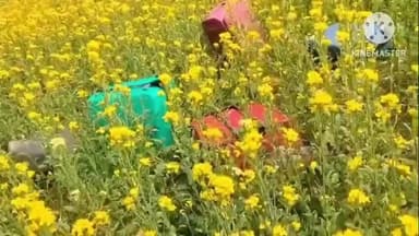 थरथरी: मकुन्दन बिगहा गांव में बंद मकान से दस हजार नकद सहित अन्य सामान की चोरी