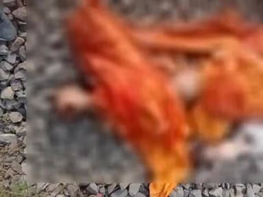 मांझी: छपरा-सिवान रेल खंड पर अज्ञात गर्भवती महिला ने ट्रेन के आगे कूदकर जान दी