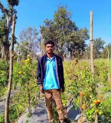 कोंडागांव: आधुनिक खेती से बदली तस्वीर, युवा किसान गोविन्द कोर्राम आधुनिक कृषि तकनीकों को अपनाकर सब्जी उत्पादन कर रहे हैं