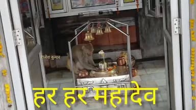 आज हनुमान जी भोलेनाथ के दर्शन करने पहुंच गए
#Lucknow #Aminabad