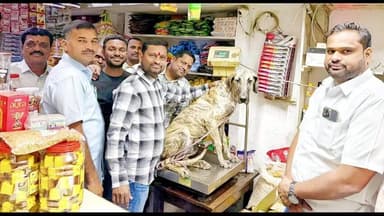 పెద్దపల్లి: పట్టణంలో పెంపుడు శునకానికి మొక్కుబడిగా సమ్మక్క సారలమ్మకు ఎత్తు బెల్లం సమర్పించి ముక్కు తీర్చుకున్న భక్తుడు