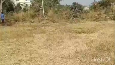 पवनी: नवनियुक्त नगराध्यक्षा डॉ. विजया ठाकरे यांच्याकडून पवनी कब्रस्तानची पाहणी; मूलभूत सुविधांचा घेणार आढावा