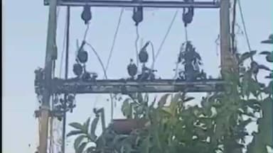 गौनहा: गौनाहा: दोमाठ पंचायत के कैरी गांव में 12 से अधिक घरों में बिजली के खंभों के सहारे पहुंच रही है बिजली