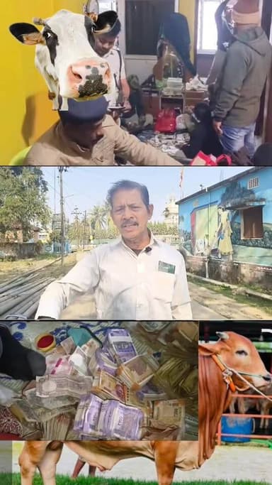 ଗୋ ମାଫିଆ ମାନଙ୍କୁ ସୁରକ୍ଷା ଦେଉଥିବା ସମସ୍ତ ଦଲାଲ ମାନଙ୍କର ପର୍ଦାଫାଶ ହେବା ନିହାତି ଦରକାର.........|