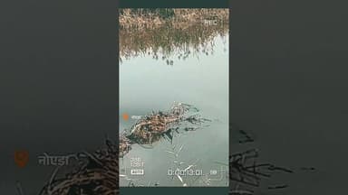 दलदल में गिरा इंजीनियर, 80 मिनट मदद के लिए चिल्लाया#shorts