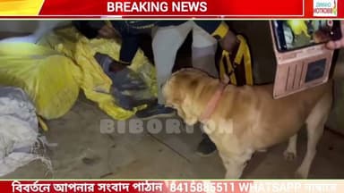 হাজারী চৌমুহনীতে পাচারকারীর বাড়িতে পুলিশের অভিযান