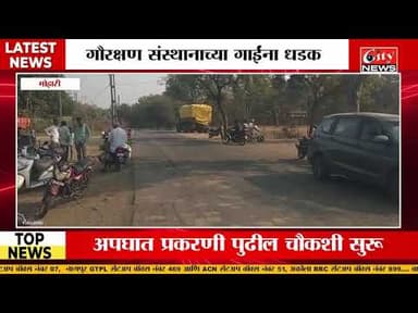 ट्रकच्या धडकेत 4 गाई ठार #citynews_amravati