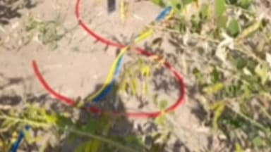 વિરમગામ: વિરમગામ શહેર સહિત ગ્રામ્ય વિસ્તારમા તસ્કરોનો તરખાટ,મંદિર સહિત સીમના ખેતરોમા ચોરીની લેખિત ફરિયાદ