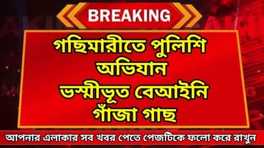 গছিমারীতে পুলিশি অভিযান: ভস্মীভূত বেআইনি গাঁজা গাছ