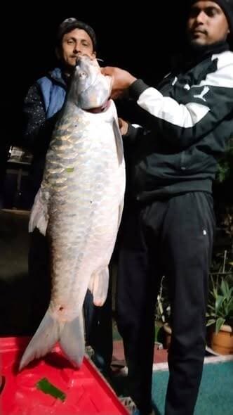 প্রায় ১৯ কেজি পাখি রাঙা মাছ