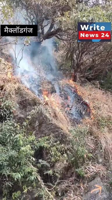 मैक्लॉडगंज: त्रियुंड ट्रैक पर शरारती तत्वों ने लगाई आग, स्थानीय लोगों ने किया बुझाने का प्रयास लेकिन सफल नहीं हो पाए ।
#...