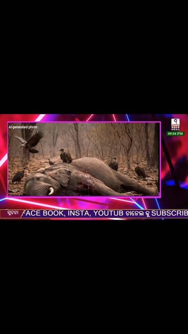 କାଡାପାନା ଜଙ୍ଗଲ ରେ ହାତି ମରିବା ଘଟଣା ସତ, ବନ ବିଭାଗ ଚପାଇ ଦେବାକୁ ଉଦ୍ୟମ #BJP4ViksitBharat #rtsreels #BJDDigitalWing #spkandhama...