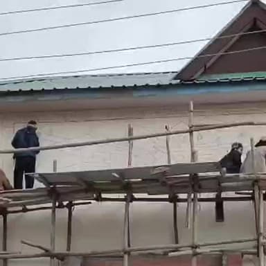 सांगला: सांगला घाटी के भवनों में बनाई जा रही तस्वीरें, घाटी के धरोहरों को दर्शाने का किया जा रहा काम