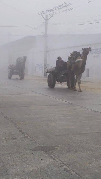 रतनगढ़ में छाया घना कोहरा और अब आकाशीय बिजली, मेघगर्जन, मावठ व ओलावृष्टि!