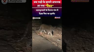 जब गाड़ी के सामने अचानक आ गया पैंथर! #Panthers #wildlife #wildlifephotography #udaipurwati #न्यूज़