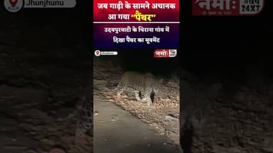 जब गाड़ी के सामने अचानक आ गया पैंथर! #panther #tiger #wildlife #viral #jhunjhunu