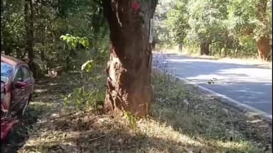 କୋରାପୁଟ ସହର: ଗଛକୁ ପିଟିଲା କାର... ବଂଚିଗଲେ ଗାଡ଼ି ଚାଳକଙ୍କ ସମେତ ଗାଡି ରେ ବସିଥିବା ଲୋକେ। ଘଟଣା ଘଟିଛି କୋରାପୁଟ ଜୟପୁର ଜାତୀୟ ରାଜପଥ 26ର