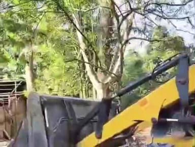 কদম: পদুমণিত বনাঞ্চলৰ ভূমিত বেদখল কৰা কেইবাটাও পৰিয়ালক উচ্ছেদ চলালে বন বিভাগে