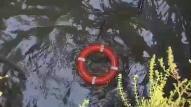 હાલોલ: હાલોલના મોટી ઉભરવણ ગામે ઊંડા કુવામાં પડેલા બળદને હાલોલ ફાયર ટીમે દિલધડક રેસ્ક્યૂ કરી બહાર કાઢવામા આવ્યું હતુ