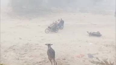 खुर्जा: जाटिया पॉलिटेक्निक ग्राउंड में आवारा सांडों के झुंड ने युवक पर किया हमला, वीडियो हुआ वायरल