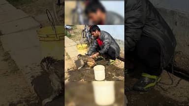 आज बंदरी को स्नान कराया #monkey #monkeyvideo #sonusinghjournalist #nawada #funnyanimal #cuteanimals