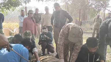 बैहर: कान्हा से नौरादेही तक नर बाघ का सुरक्षित स्थानांतरण, वन्यजीव संरक्षण की दिशा में अहम पहल