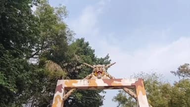 அம்பாசமுத்திரம்: களக்காடு முண்டந்துறை புலிகள் காப்பகத்தில் அகில இந்திய அளவிலான புலிகள் கணக்கெடுக்கும் பணி தொடங்கியது.