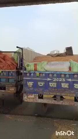 छीपाबड़ोद: छीपाबड़ौद अनाज मंडी में 7142 कट्टी की हुई आवक दर्ज