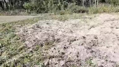 কুমারগ্রাম: ধনতলিটাপুতে বুনো হাতির তাণ্ডবে ভাঙলো রান্নাঘর, ক্ষতিগ্রস্ত আলু খেত