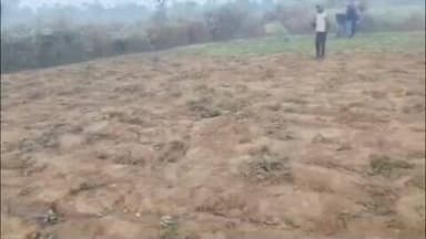 कुकड़ू: कुकड़ू में हाथी के आतंक से ग्रामीण परेशान, शाम होते ही गांव में मचा रहा उत्पात