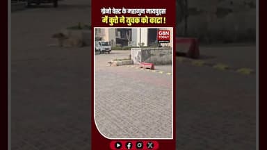 महागुन मायवुड्स सोसायटी में कुत्ते के काटने की घटना से दहशत का माहौल #DogBite #GreaterNoidaWest