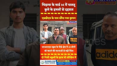 #चिड़ावा के वार्ड 16 में पालतू #कुत्ते के हमलों से दहशत, एसडीएम के नाम सौंपा गया ज्ञापन #chirawa