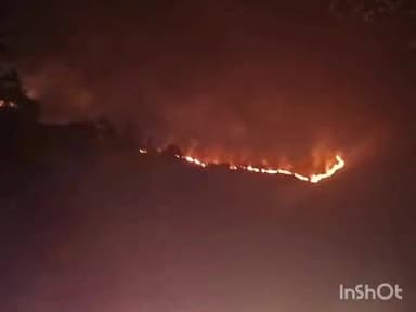 ಮೂಡಿಗೆರೆ: ಚಾರ್ಮಾಡಿ ಘಾಟಿ ಅರಣ್ಯ ಪ್ರದೇಶಲ್ಲಿ ಅಗ್ನಿ ಅವಘಡ.!