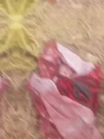 करछना: उमरी तालुका काटी के निरौंधा माइनर के पास नवजात बच्ची मिलने से फैली सनसनी