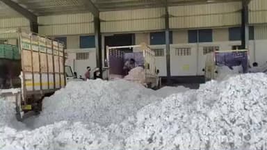 सेलू: सेलू बाजारपेठेत ‘पांढऱ्या सोन्याची’ चमक; कापसाने गाठला ₹८३०० चा टप्पा, ₹८५०० कडे वाटचाल