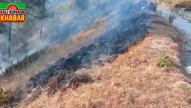 बाराकोट:अराजक तत्वों ने बाराकोट के जंगलों में लगाई आग वन विभाग में कड़ी मशक्कत के बाद पाया काबू