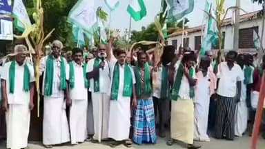 விருதுநகர்: மக்காச்சோளம் கொள்முதல் நிலையம் திறக்க கோரி தமிழ் விவசாய சங்கத்தினர் ஆர்ப்பாட்டம்