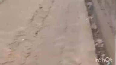 मोहम्मदी: स्वच्छ भारत मिशन अभियान को लेकर बड़े-बड़े दावे, सल्लिया का मामला वीडियो वायरल