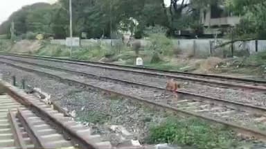 धरणगाव: टाकरखेडा येथे धावत्या रेल्वेच्या धक्क्याने अनोळखी तरूणाचा दुदैवी मृत्यू; अमळनेर पोलीसात अकस्मात मृत्यूची नोंद