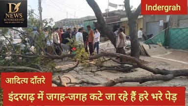 नगर में हरे भरे पेड़ काटे जा रहे हैं इससे हादसे भी हो रहे हैं
#news #दतिया #न्यूज़