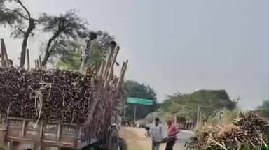 साईं खेड़ा: बनवारी स्टैंड के पास ट्रैक्टर ट्रॉली ले जाते समय पहिया निकलने से ट्रॉली पलटी